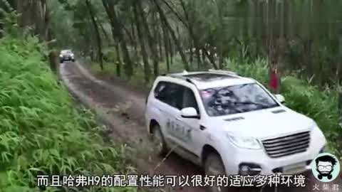 六月里来好阳光