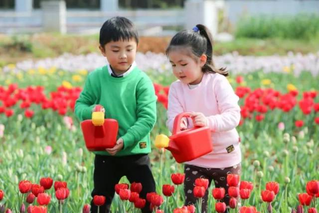 六扇门之御前盗圣