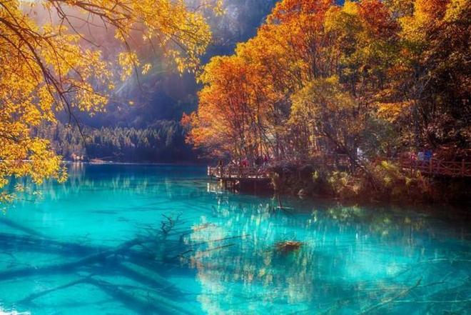 养鬼吃人6:死亡代码