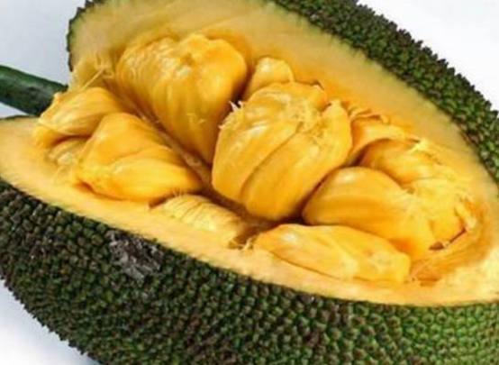 八戒降魔2万妖之王