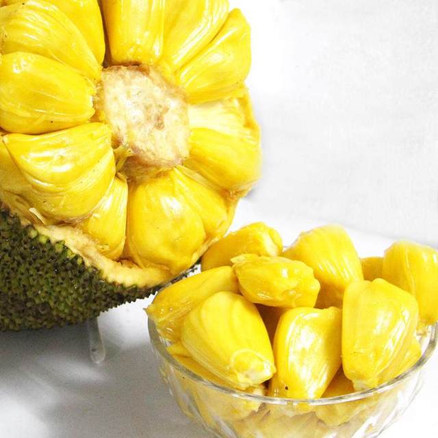 六十一号的恐怖