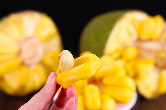 六扇门之御前盗圣